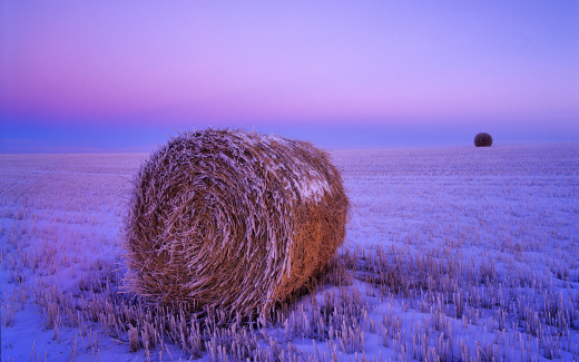 503607 (a): :1920x1200